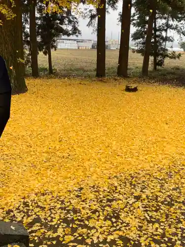 桜町二宮神社のその他建物