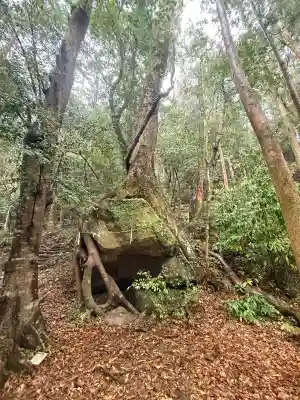 滝尻王子宮十郷神社の{uncategorized: "未分類", other: "その他", undefined: "問題あり", building: "その他建物", grave: "お墓", sacred_gate: "鳥居", guardian: "狛犬", statue: "像", buddha: "仏像", history: "歴史", nature: "自然", garden: "庭園", animal: "動物", pagoda: "塔", temizu: "手水舎", mountain_gate: "山門・神門", sanctuary: "本殿・本堂", subordinate: "末社・摂社", art: "芸術", scenery: "景色", jizo: "地蔵", ema: "絵馬", goshuin: "御朱印", omikuji: "おみくじ", items: "授与品その他", amulet: "お守り", goshuincho: "御朱印帳", eats: "食事", festival: "お祭り", votive_dance: "神楽", shichigosan: "七五三参", wedding: "結婚式", experience: "体験その他", initially: "初詣", around: "周辺", anti_infection: "感染症対策"}
