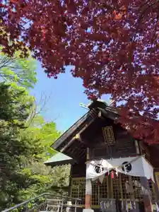 厚別神社(北海道)(2023年05月13日(土) 09時04分15秒投稿)