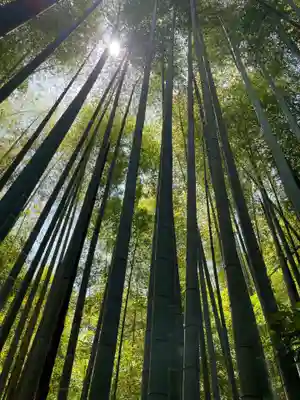 報国寺(神奈川県)