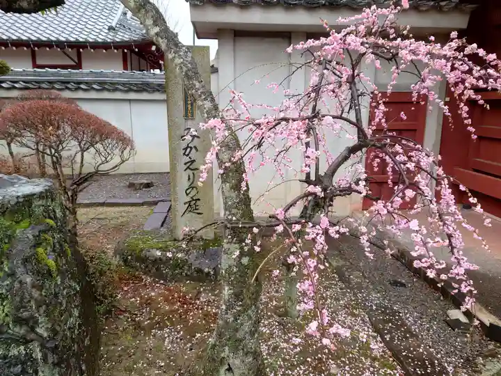 圓鏡寺(岐阜県)