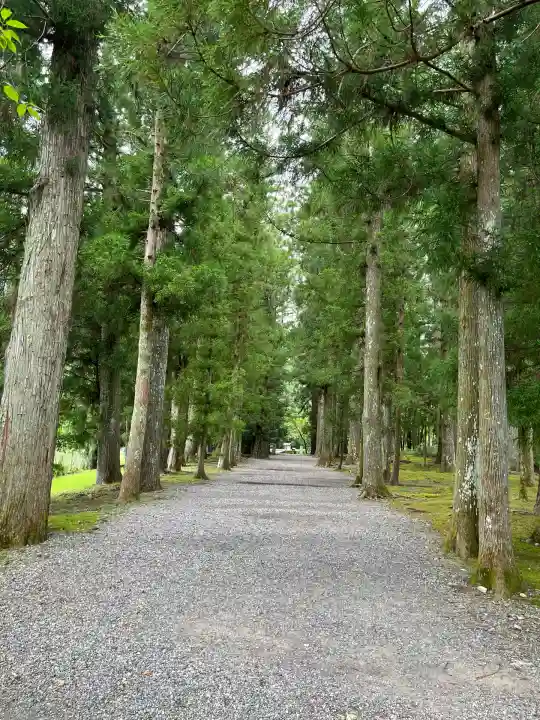 大斎原(熊野本宮大社旧社地)(和歌山県)