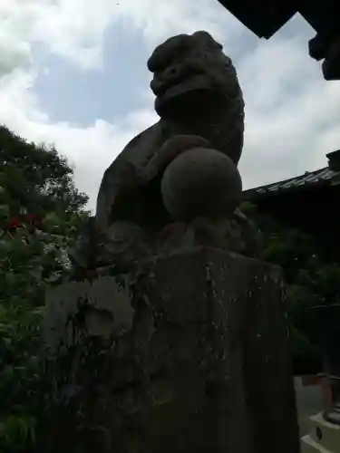 雷電神社の狛犬