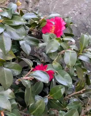 厳嶋神社(東京都)