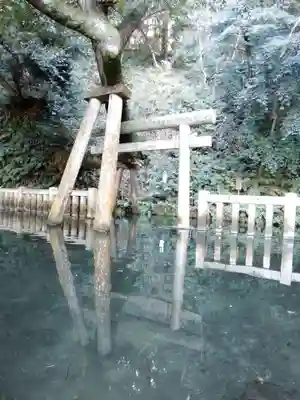 鹿島神宮の鳥居