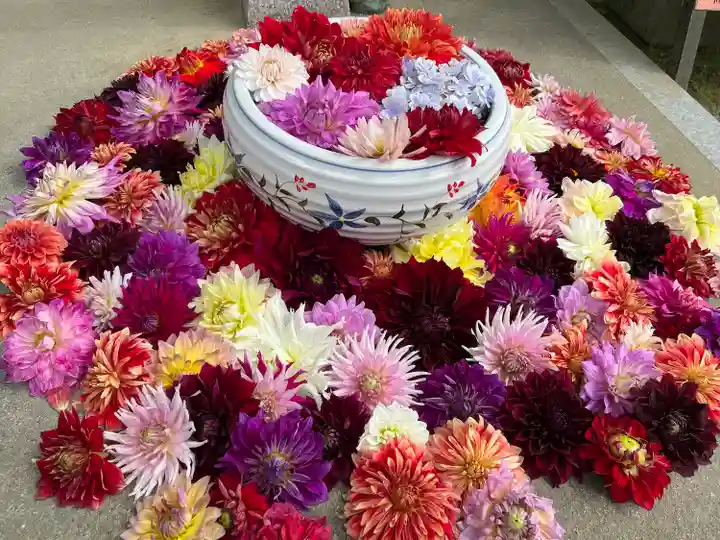 岡寺(龍蓋寺)(奈良県)