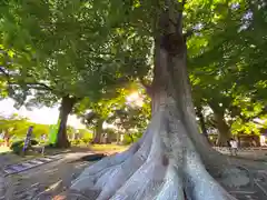 白鳥神社の自然