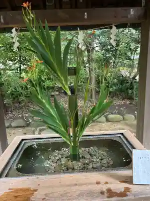 赤坂氷川神社(東京都)