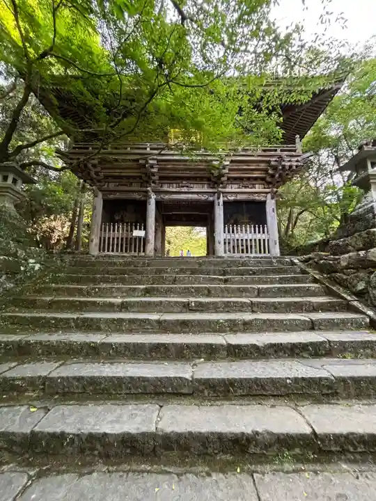 竹林寺(高知県)