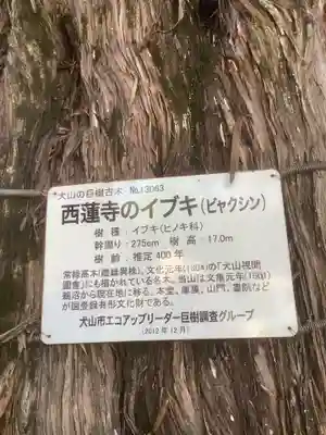 西蓮寺のその他建物