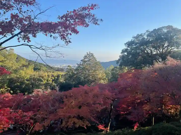 大興善寺(佐賀県)