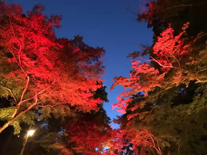 日吉大社の自然