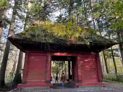 戸隠神社九頭龍社(長野県)
