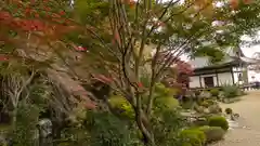 善峯寺(京都府)