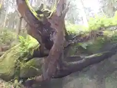 名草厳島神社(栃木県)