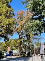 武蔵第六天神社(埼玉県)