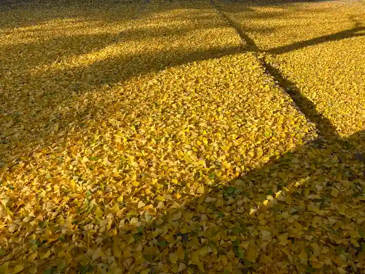 円通寺(広島県)