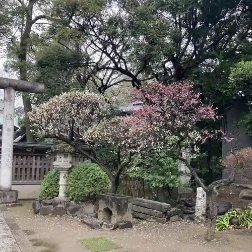 大鷲神社(東京都)
