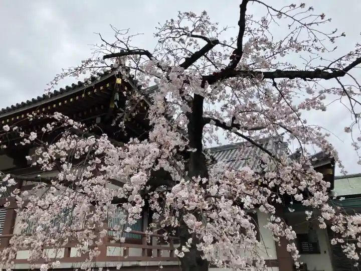 西新井大師総持寺の自然