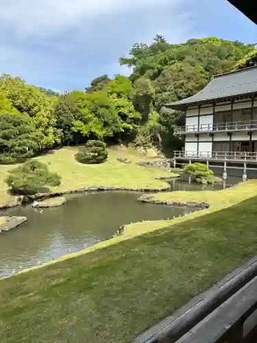 建長寺の{uncategorized: "未分類", other: "その他", undefined: "問題あり", building: "その他建物", grave: "お墓", sacred_gate: "鳥居", guardian: "狛犬", statue: "像", buddha: "仏像", history: "歴史", nature: "自然", garden: "庭園", animal: "動物", pagoda: "塔", temizu: "手水舎", mountain_gate: "山門・神門", sanctuary: "本殿・本堂", subordinate: "末社・摂社", art: "芸術", scenery: "景色", jizo: "地蔵", ema: "絵馬", goshuin: "御朱印", omikuji: "おみくじ", items: "授与品その他", amulet: "お守り", goshuincho: "御朱印帳", eats: "食事", festival: "お祭り", votive_dance: "神楽", shichigosan: "七五三参", wedding: "結婚式", experience: "体験その他", initially: "初詣", around: "周辺", anti_infection: "感染症対策"}