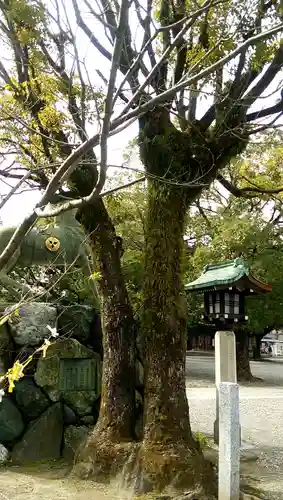 真清田神社の自然