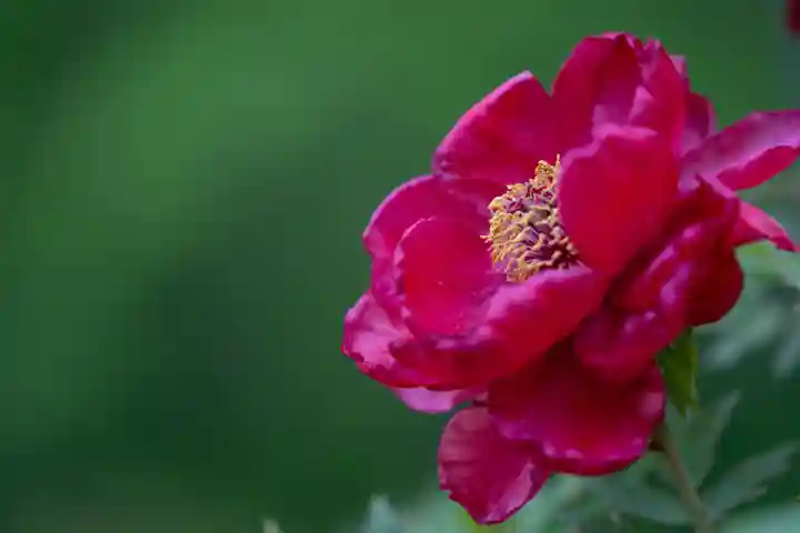 伊勢の国 四天王寺(三重県)