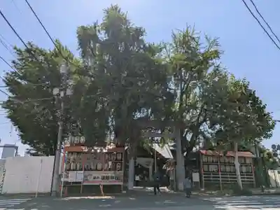 波除神社（波除稲荷神社）(東京都)