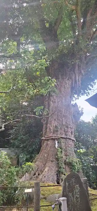荏柄天神社(神奈川県)