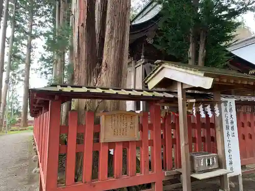 櫛引八幡宮の自然