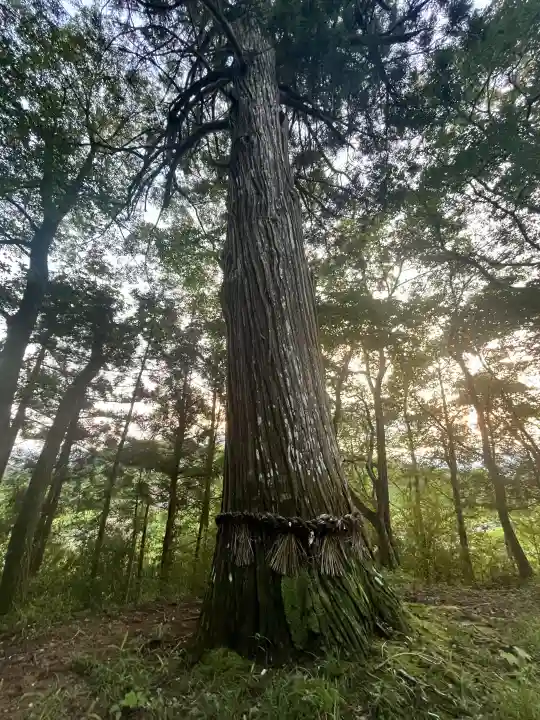 熊野神社(宮城県)