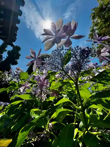 天球院(京都府)