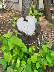 大谷地神社の自然