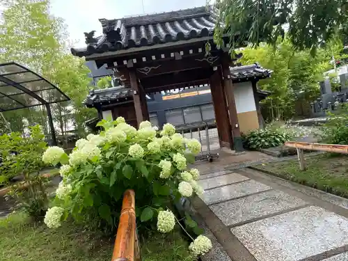 新福寺(大阪府)
