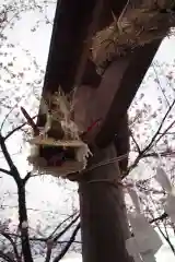 熊野神社の狛犬