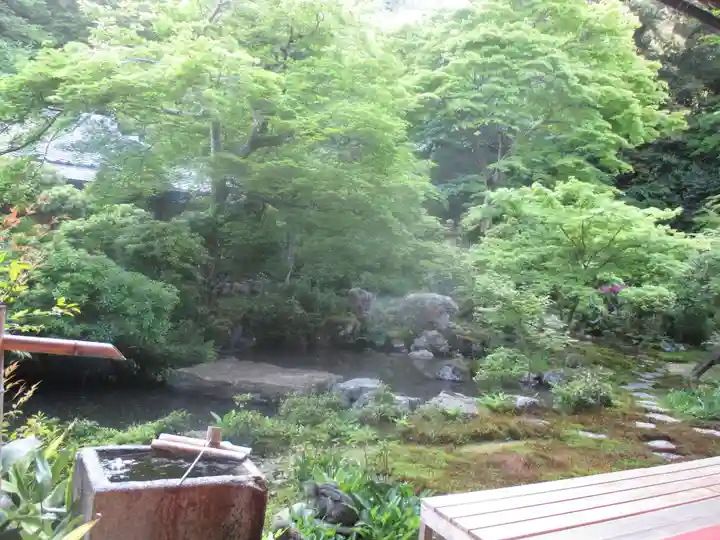 実相院門跡の庭園