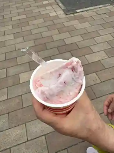 白蛇辨財天(栃木県)