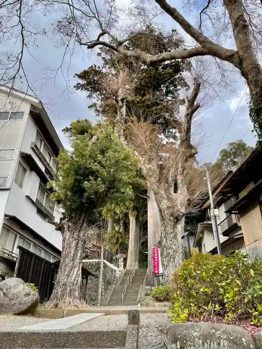 日枝神社(静岡県)