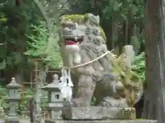 関口神社の狛犬