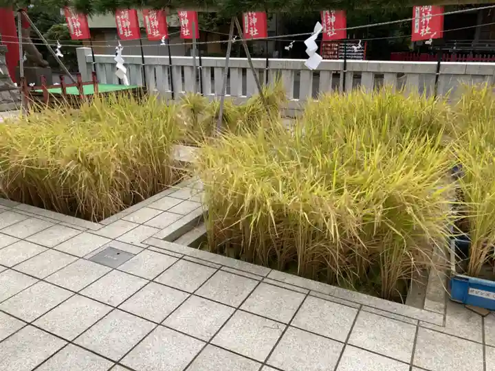 東京羽田 穴守稲荷神社(東京都)