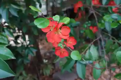三篠神社(広島県)