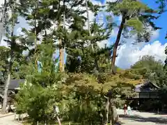 今宮神社(京都府)