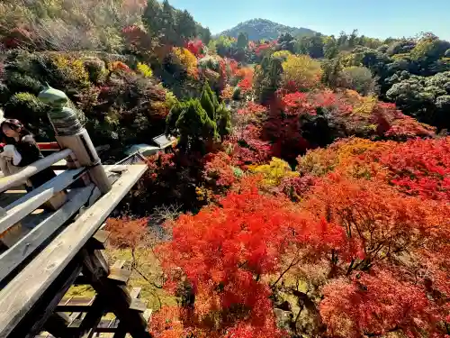 清水寺の{uncategorized: "未分類", other: "その他", undefined: "問題あり", building: "その他建物", grave: "お墓", sacred_gate: "鳥居", guardian: "狛犬", statue: "像", buddha: "仏像", history: "歴史", nature: "自然", garden: "庭園", animal: "動物", pagoda: "塔", temizu: "手水舎", mountain_gate: "山門・神門", sanctuary: "本殿・本堂", subordinate: "末社・摂社", art: "芸術", scenery: "景色", jizo: "地蔵", ema: "絵馬", goshuin: "御朱印", omikuji: "おみくじ", items: "授与品その他", amulet: "お守り", goshuincho: "御朱印帳", eats: "食事", festival: "お祭り", votive_dance: "神楽", shichigosan: "七五三参", wedding: "結婚式", experience: "体験その他", initially: "初詣", around: "周辺", anti_infection: "感染症対策"}