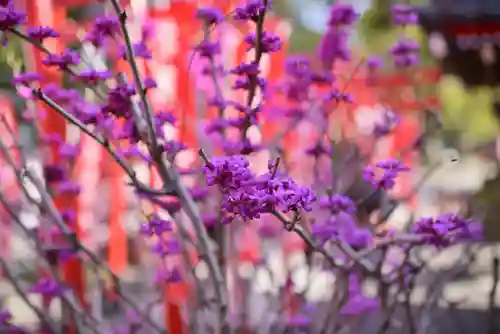 於菊稲荷神社の建物その他