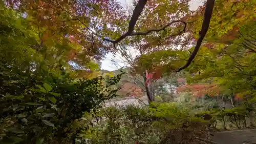 十輪寺(京都府)