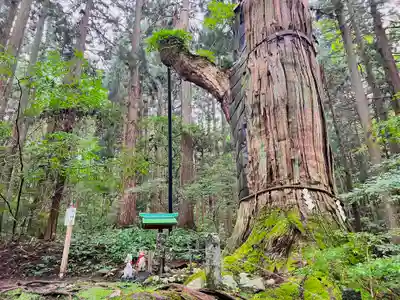 志和稲荷神社の自然