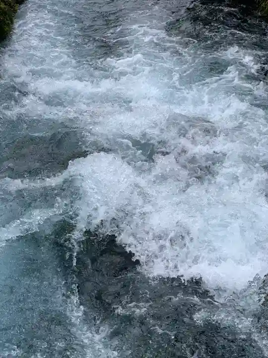 富士山本宮浅間大社(静岡県)