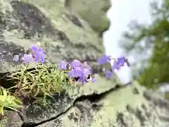 高峯神社(大室神社奥宮)の自然