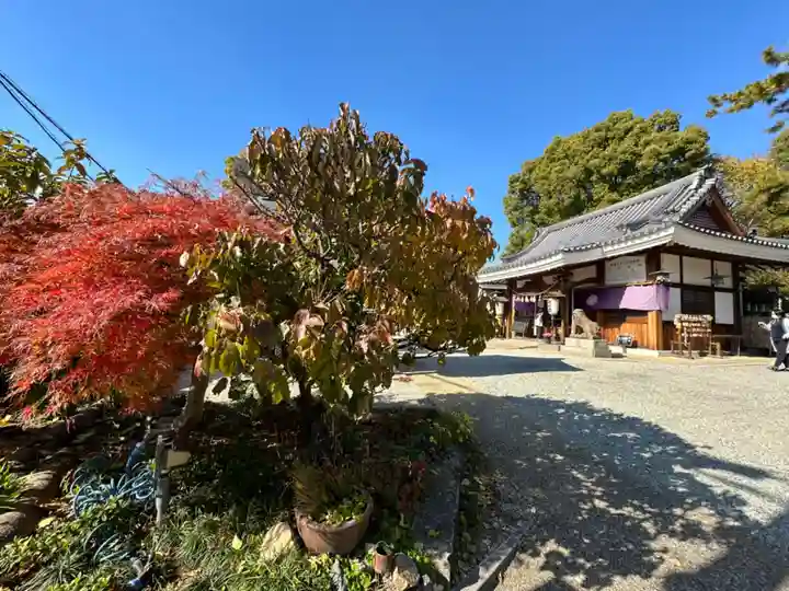 水堂須佐男神社(兵庫県)