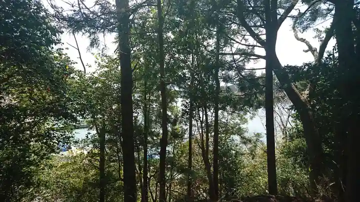 鹽竃神社の自然