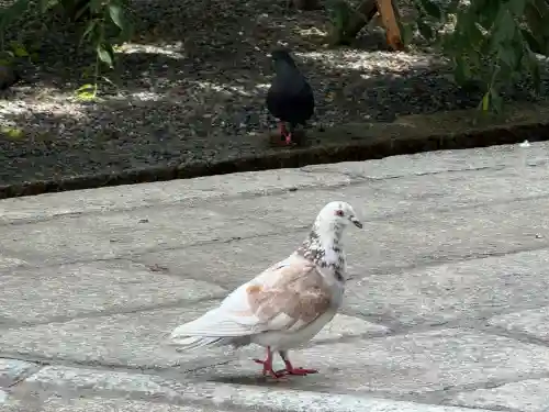 頂法寺（六角堂）(京都府)